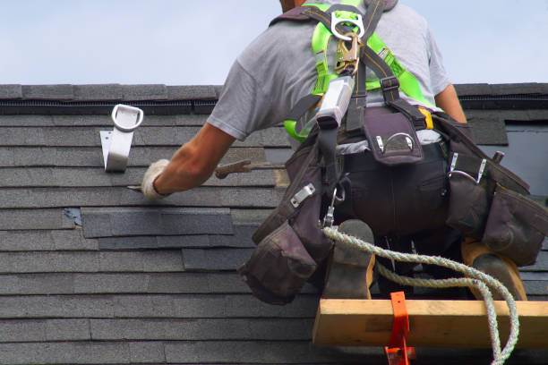 Best Roof Gutter Cleaning  in Van Wert, OH