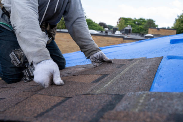 Best Commercial Roofing Services  in Van Wert, OH