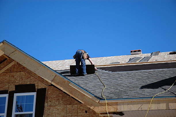 Best Storm Damage Roof Repair  in Van Wert, OH